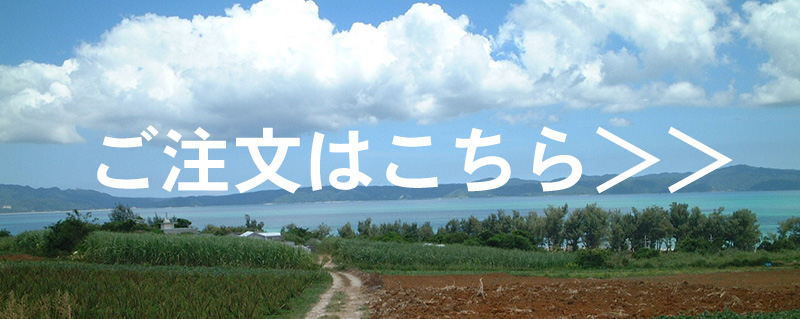 なちゅらだま 注文