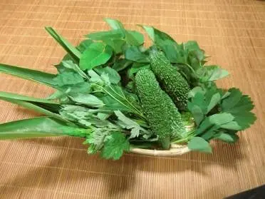 沖縄野菜